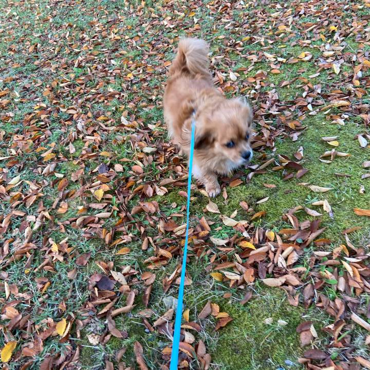 4c3478ed c865 426f a286 78a2d285e2a8 1603923547584