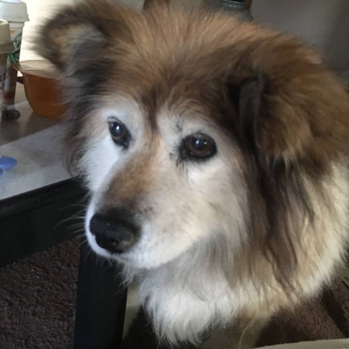 4c34e55d b766 4575 a841 6793ca71eedf 1619528880797