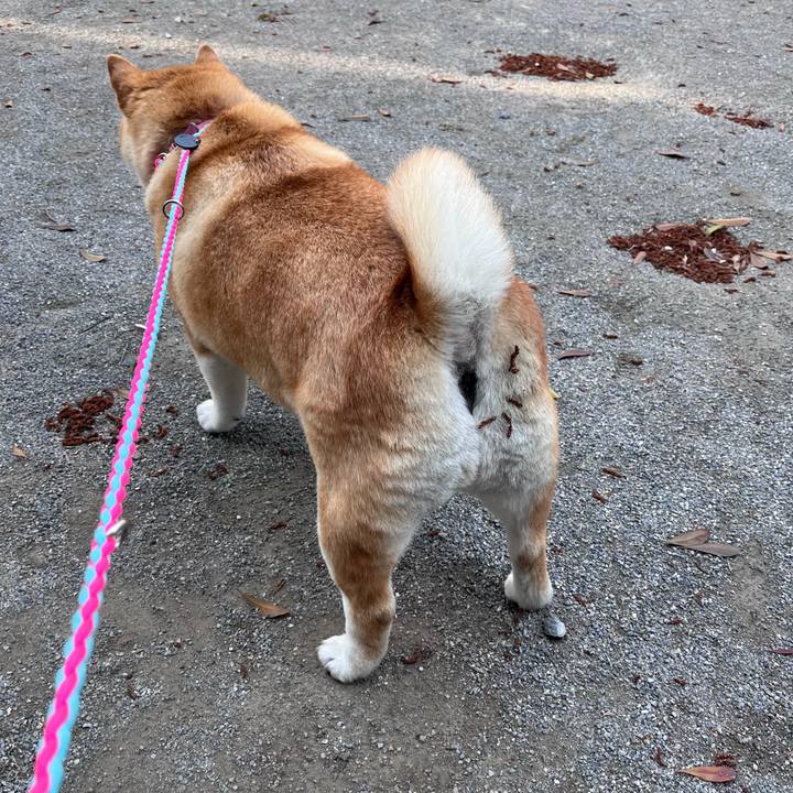 4c34f71c 33bc 4519 a8c7 4f66d16c9b60 1681217938896