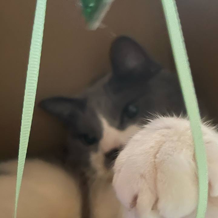 4c34fbe6 3084 43f3 a19d 4d06389b8c8e 1738394831864