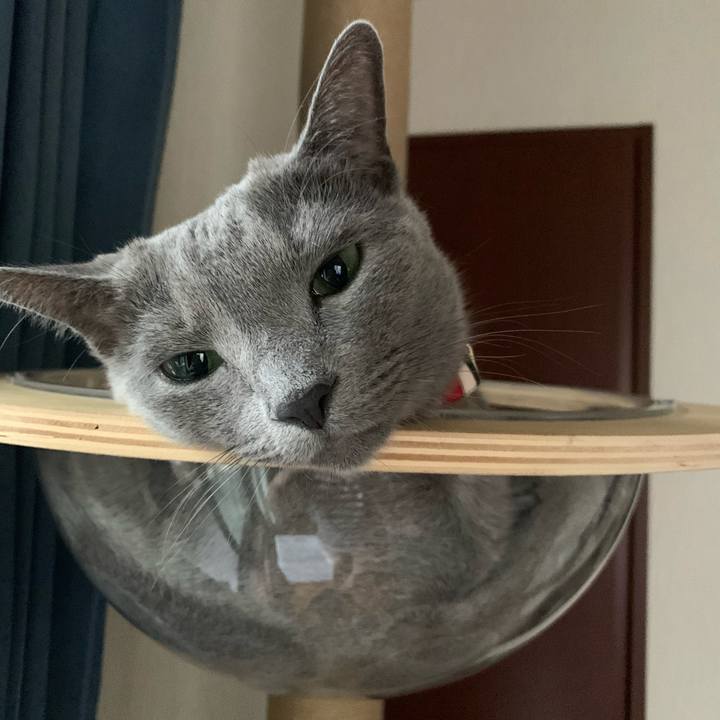 4c350bc6 66c8 4680 9085 d24238b07335 1664927184821