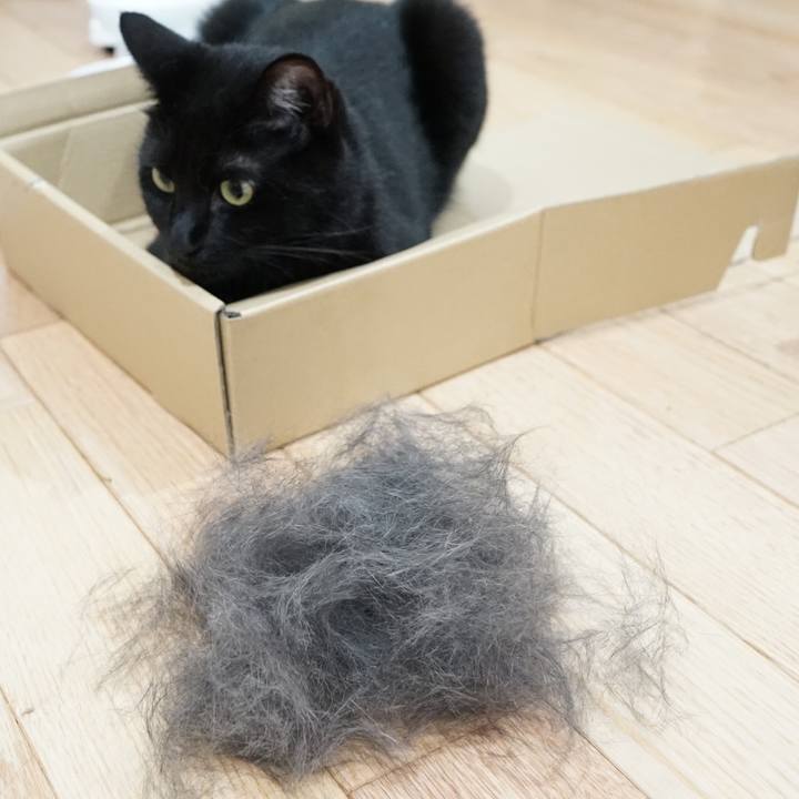 4c35a33a 984c 4d68 ae37 3ed8579e13fa 1561298321251