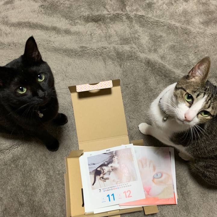 4c35a8f1 4267 42ad bd75 350df850bc3e 1571749186617