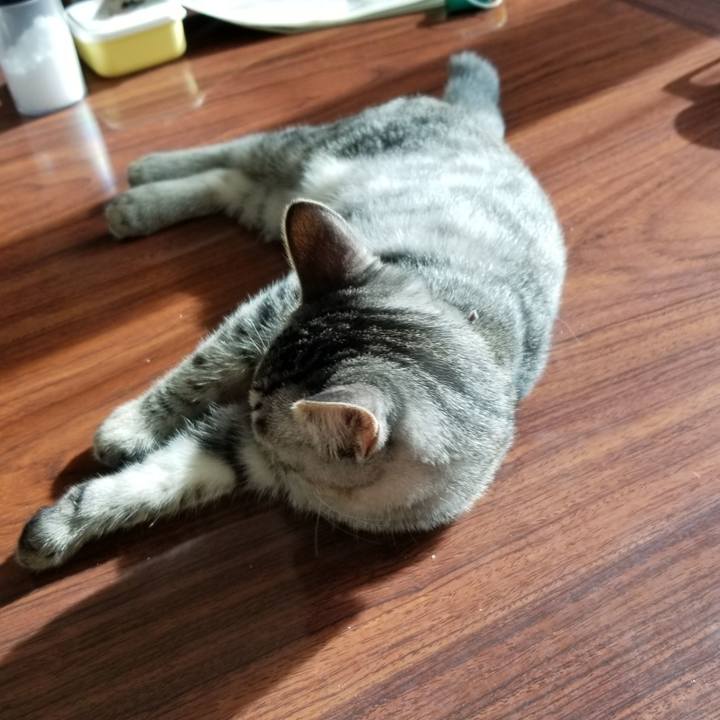 4c35bab0 86af 48a8 9d37 68edb63bef42 1667353673715