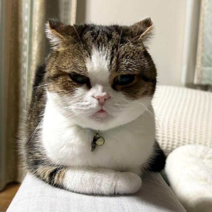 4c35cdae 5675 4ef8 a92e 76f96633cb45 1761602455879