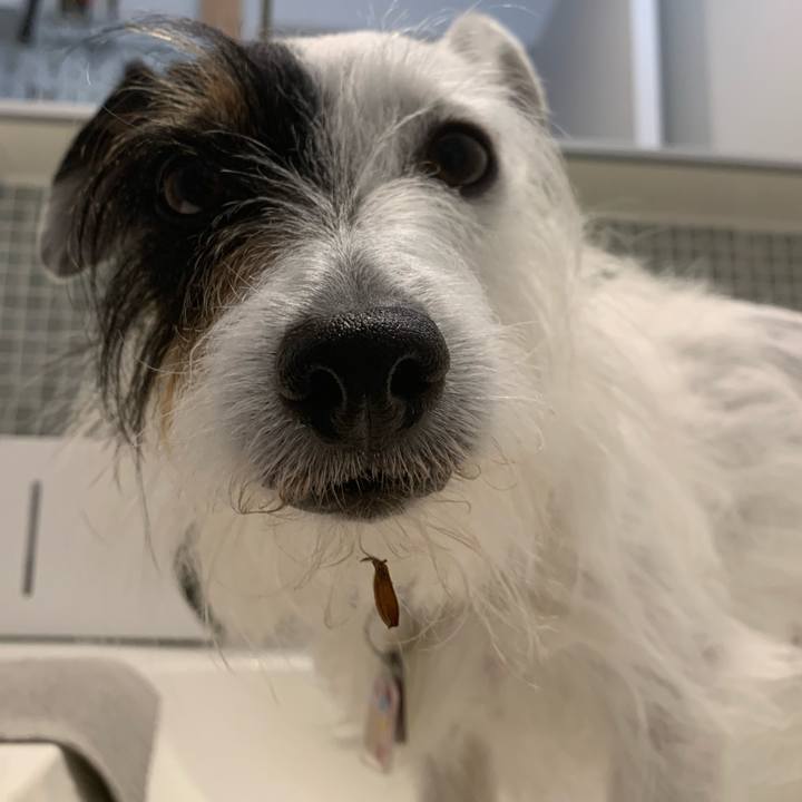 4c35d222 ca97 46c6 9868 2f41e949028c 1651624972201