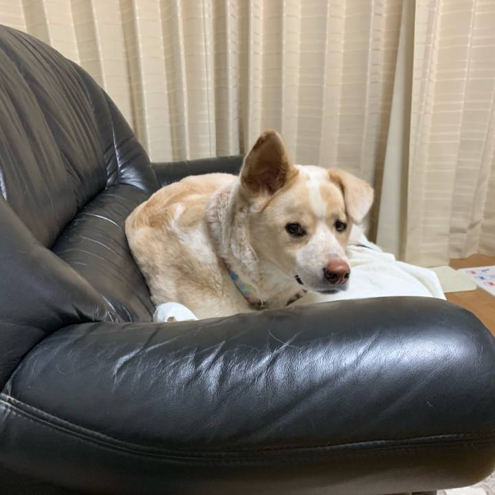 4c35db29 0954 443b baeb 4b039df08625 1551280007824