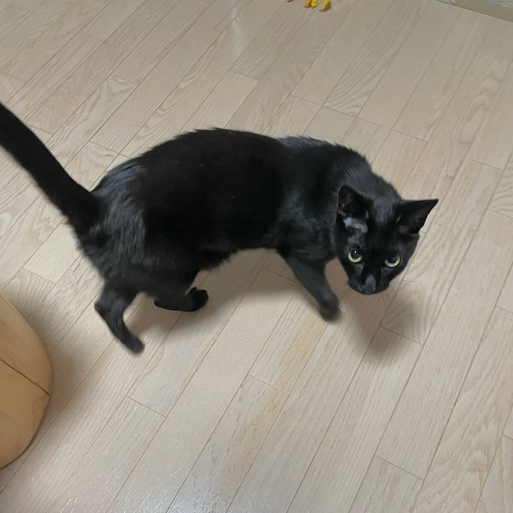 4c364404 c13c 44d9 a9de 396e1bf6d869 1688305254264