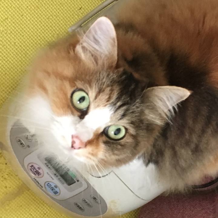 4c365684 f294 43db 905b ba2f1e5f42ca 1564543186684