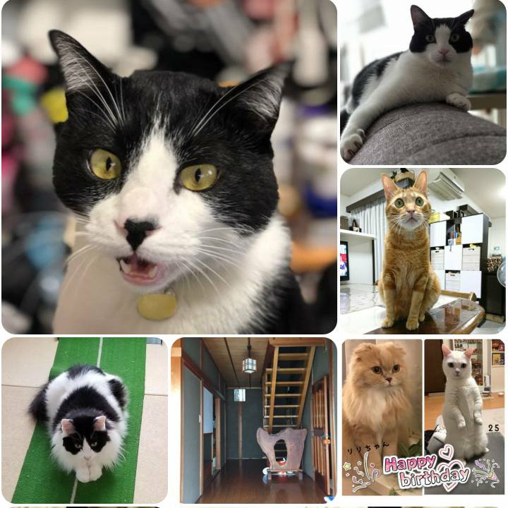 4c36fb20 7edc 4fa9 84fc 753580309de0 1562323095075