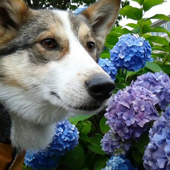 4c370495 fc5f 4294 8da6 d0bf7ff54024 1529820719297