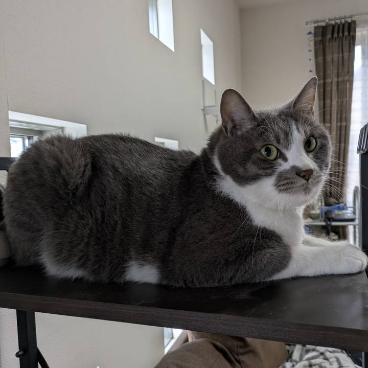 4c370c3e 4e7b 4394 a5ca 908907710d65 1749802020252