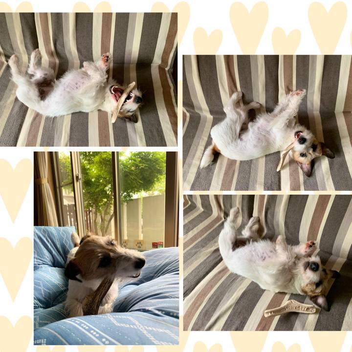 4c372a55 2afb 4fee 9e89 b8d87ec4f47a 1589776175680