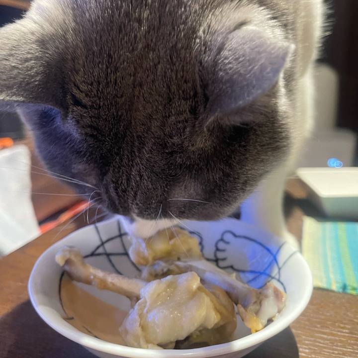 4c377d21 0352 4e97 b6e9 3fcbe7793d1f 1735125150207