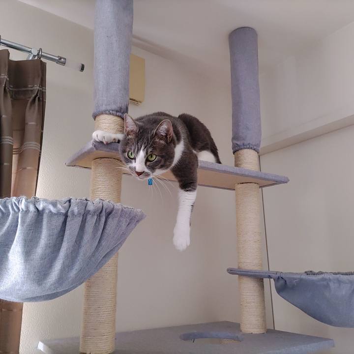 4c381260 0ba5 4bd8 b893 0a812638cc3d 1670387923413