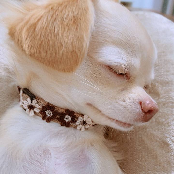 4c3836df 3b12 4075 a98c 53bc505e25a7 1604301886241