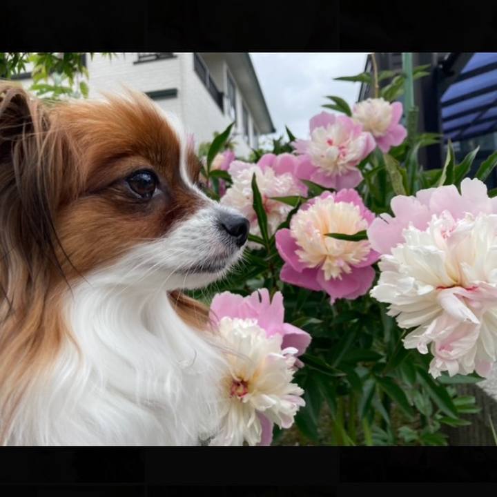 4c384aaf 3c58 49d8 9e3f 2787fbedf2cd 1655429699127