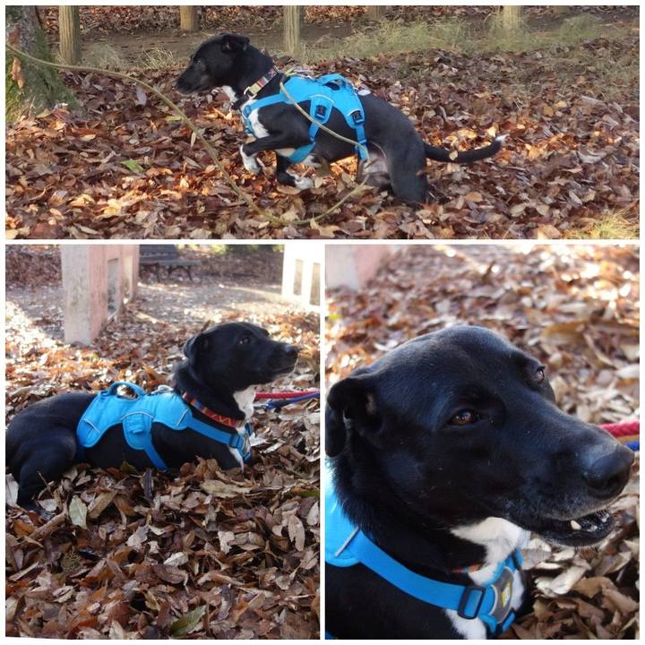 4c386781 1fb1 4a71 98b1 bf070f2013a6 1607300917700