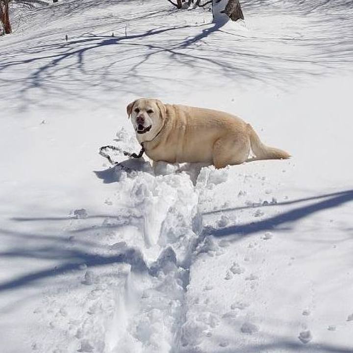 4c38745b af2f 4b21 a0d5 1d84d6fd2bd0 1742444250162