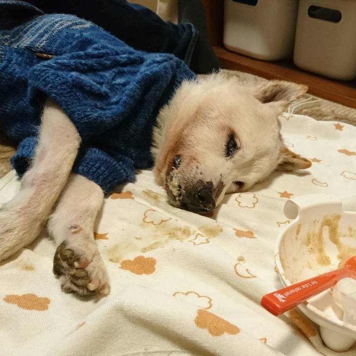 4c38ba7a d51c 41dd b0ad 4ff25f2f2a90 1546428479638