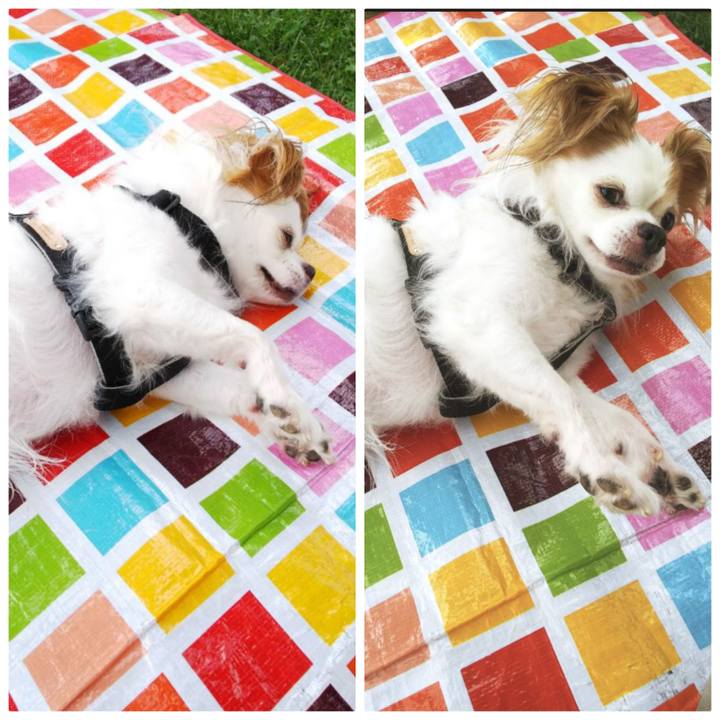 4c3905f5 e286 461a b064 e96b7b2e9854 1685856101953