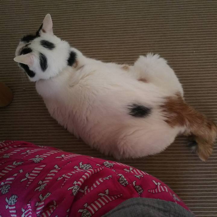 4c3961ea 0d3c 43e1 bd6a 39027761196c 1567032906067