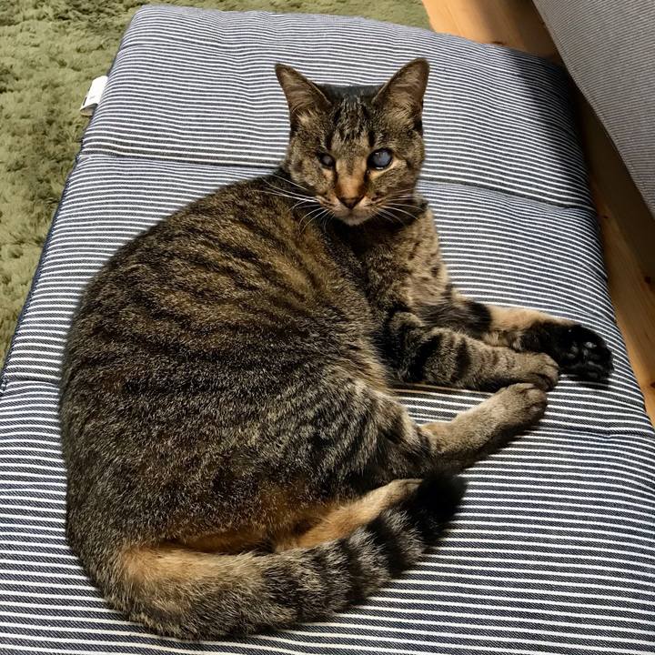 4c397cdf 831c 4c67 955f c829a7a51a8e 1619044526813