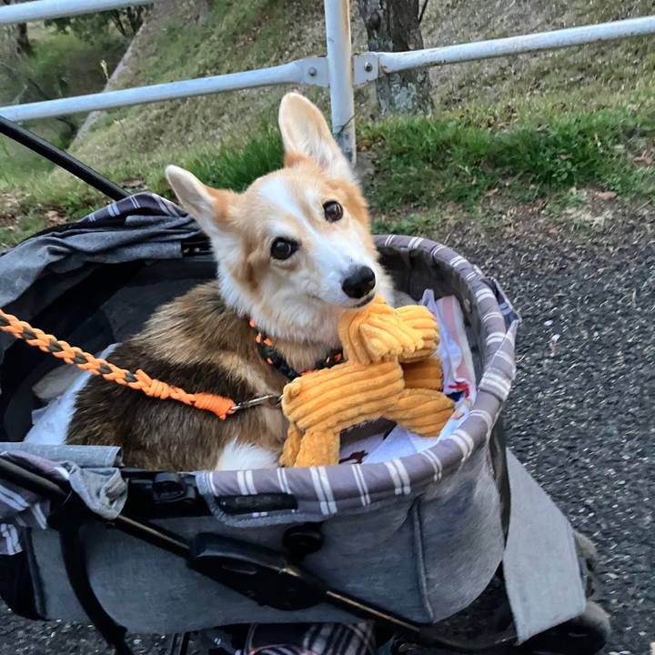 4c3990bb 2f22 46c2 84ef 7958eb88729d 1774930528006