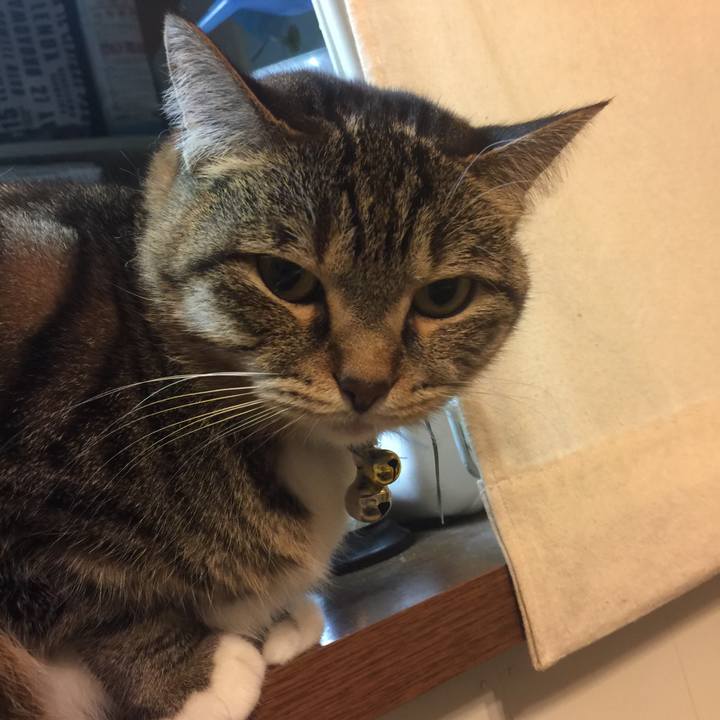 4c39d8b2 b2a2 434f a167 07f3f255d22d 1547483727214