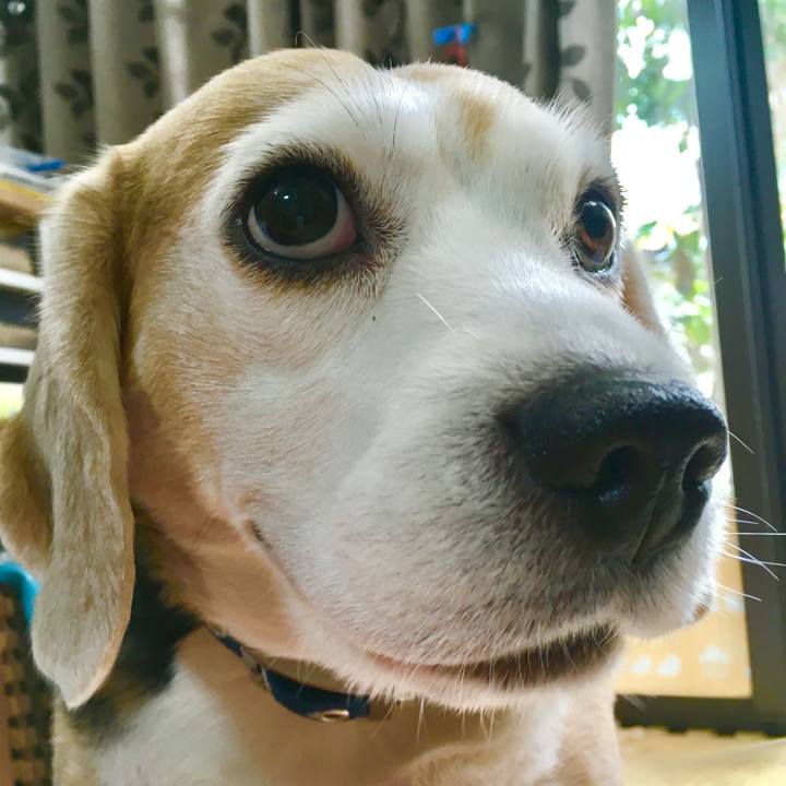 4c3a6da0 5d32 4b3e a790 2ab270364773 1742621281172