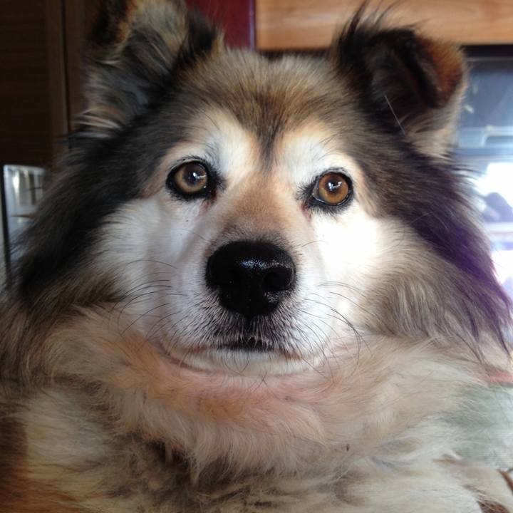 4c3a6fe3 a585 4a50 a9b9 3ca22d2690ba 1648923827017