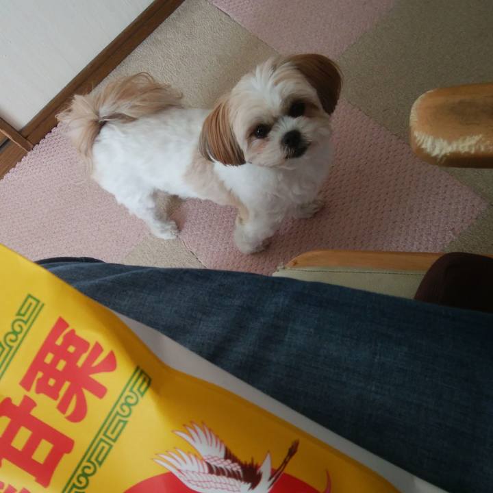 4c3a9b0f 6e1c 4ba7 88bb 4c26f981081e 1515301076620