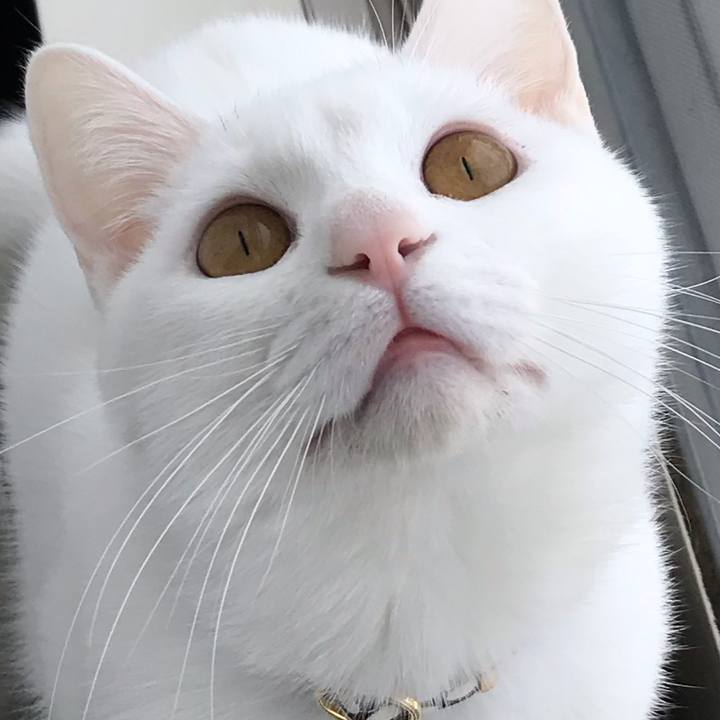 4c3ab127 a582 4565 9b1a 232f2ad5b8a6 1583541435929