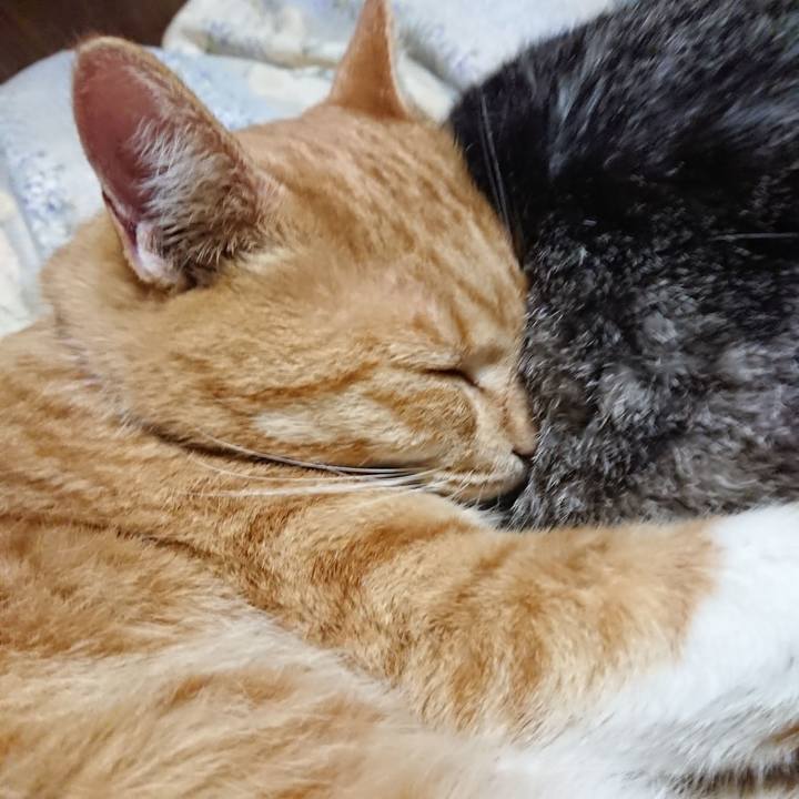 4c3b5a38 fc32 4696 b024 2523595013ad 1573215888727