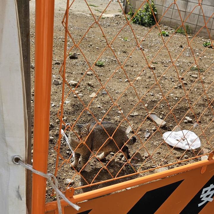 4c3b66ed 309a 4ac7 b5f4 29e684a9345a 1710648153484