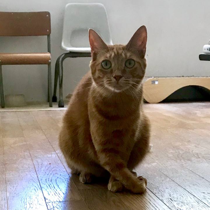 4c3baf2a 212d 41b8 bdb7 b5d23fb3ec7e 1533194266046