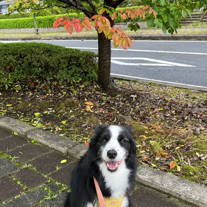 4c3bb50e 4cca 4f57 9fb7 380112d44066 1758147322776