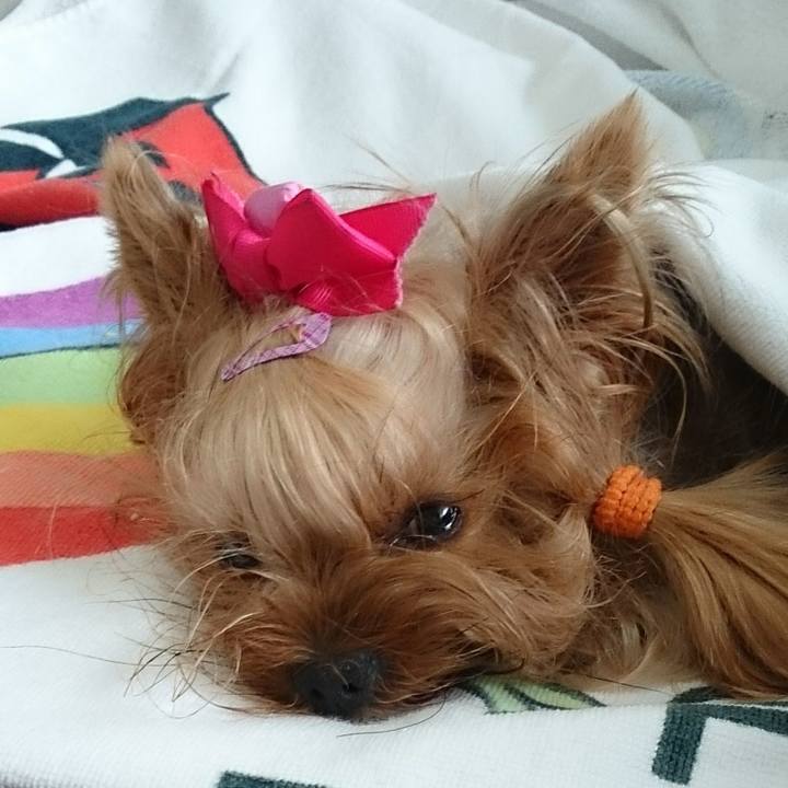 4c3bbdea bf3e 4620 9974 046241ec1406 1691897894187