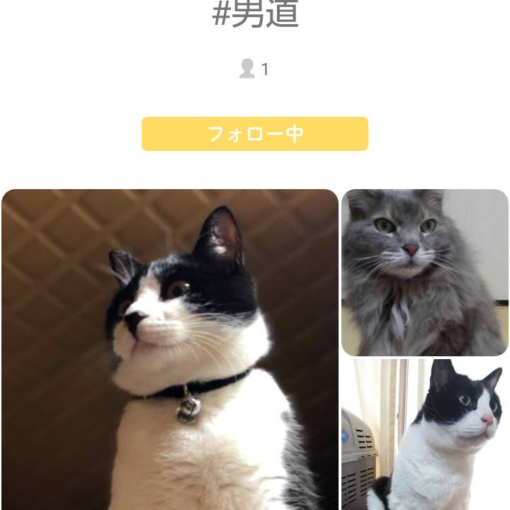 4c3bc3d5 95ad 412e 955c c05cf1818eff 1552056516775