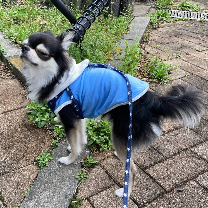 4c3bc42b e265 4110 ab20 abc467431492 1648363383317