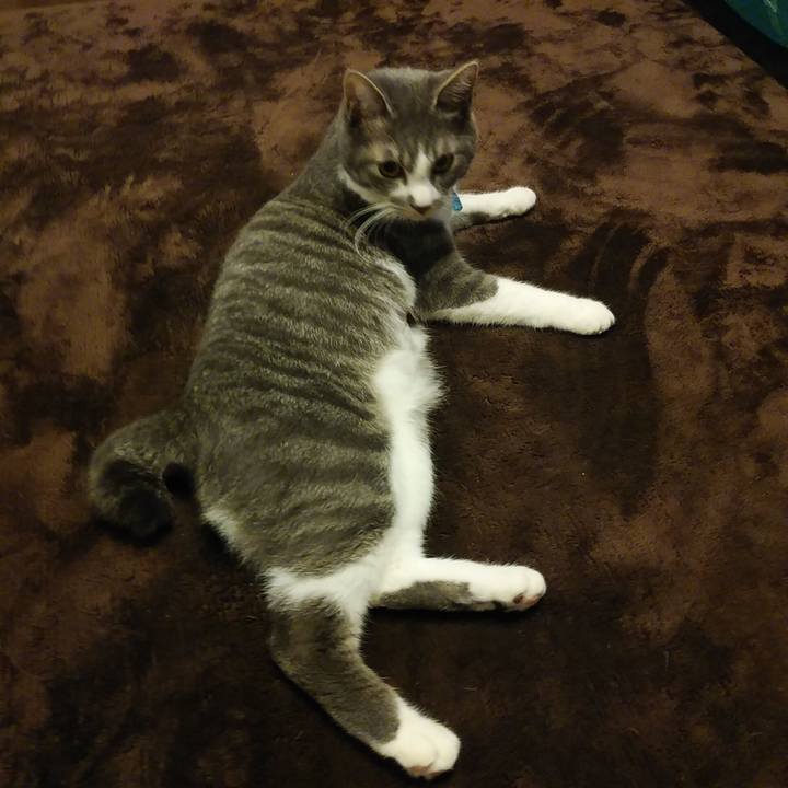 4c3bcefb 443e 4f12 b0f7 e8f6cae4e45f 1585400872674