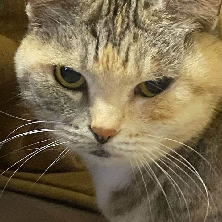 4c3c19ae 03b5 4672 8408 433a295dcb2a 1647879062148