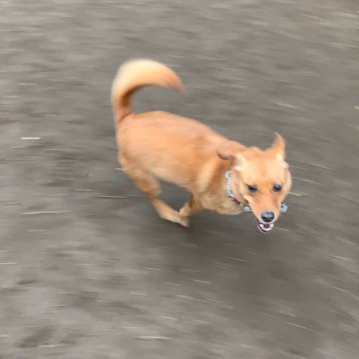 4c3c4440 09bd 4038 b5b1 fabbc12d41ee 1562578277721