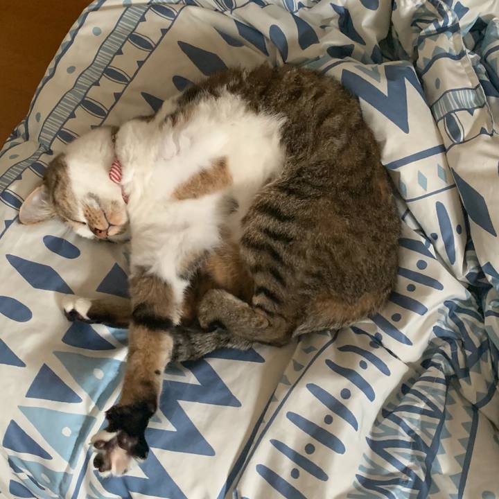 4c3c7605 1304 4f57 b256 92764461fd95 1569106899878