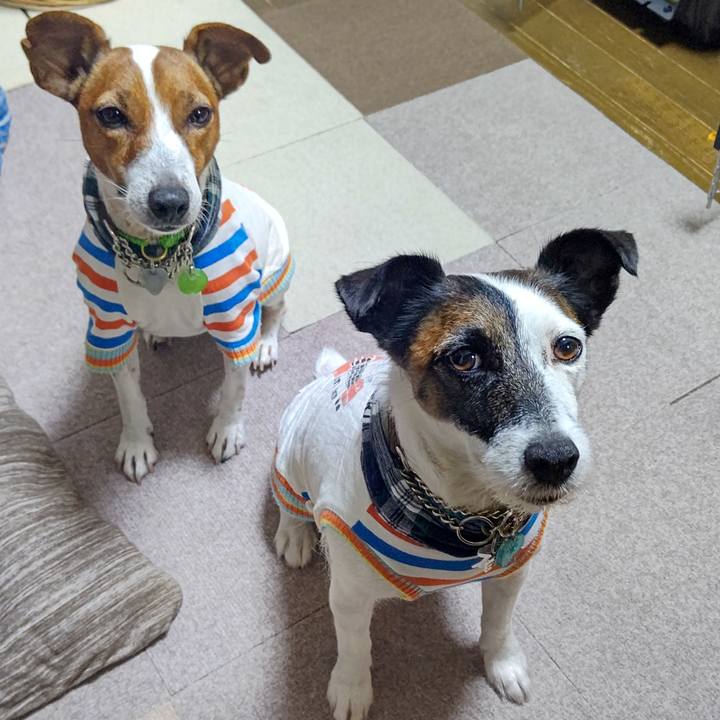 4c3c95d8 939a 4a42 a0e8 5dc84e128457 1633615690580