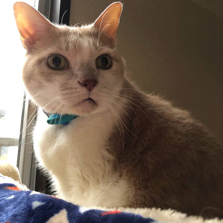 4c3ca5b0 a09e 4813 ac25 e4c5d6a4916d 1614292834649