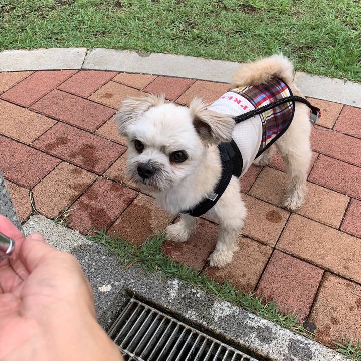 4c3cbe74 bfb9 493a 874c 4645bab68ba9 1566361534202