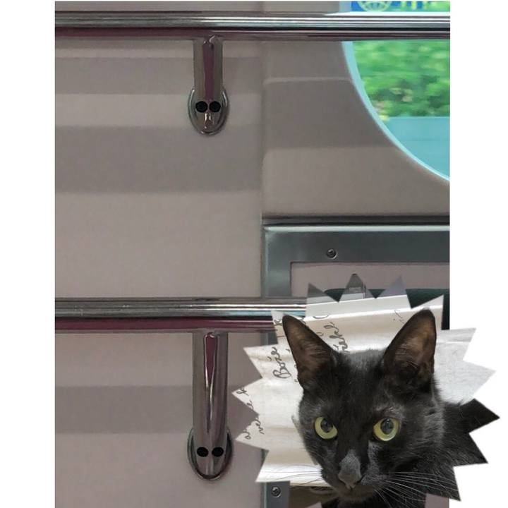 4c3d7814 416e 45c4 ad4a f90029000172 1628081714593