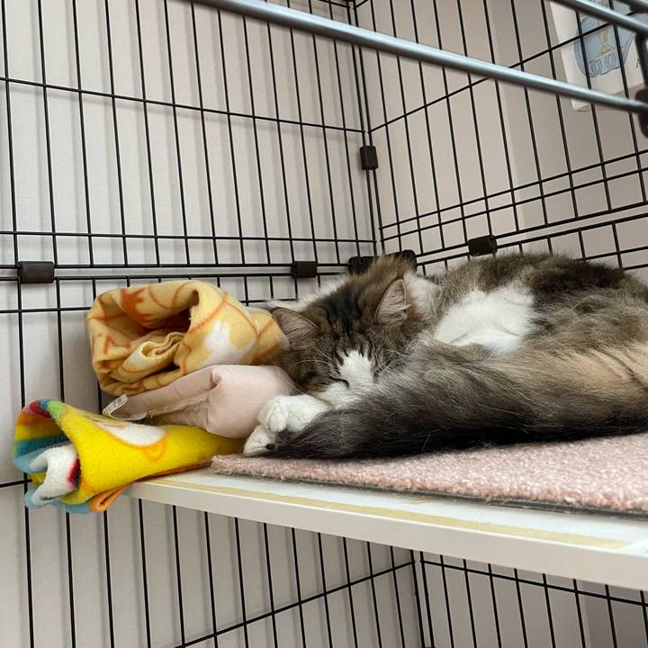 4c3d8613 a01c 4eed acb4 599ce36a2f92 1728003074446