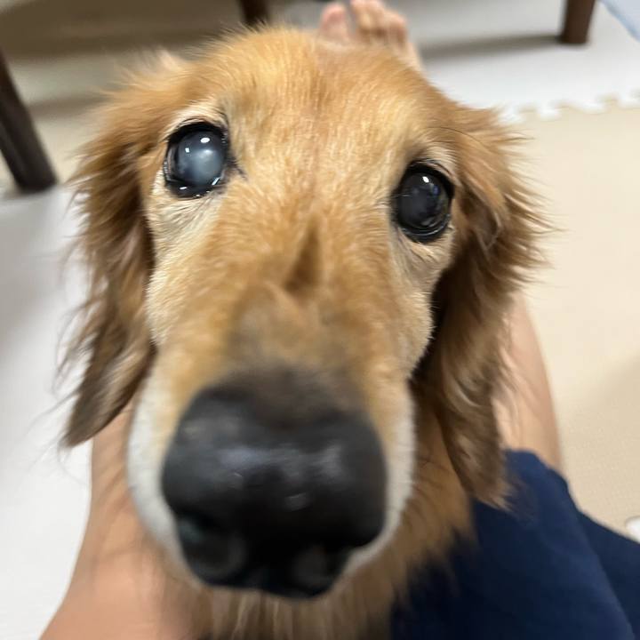 4c3dd419 a253 4261 b116 99cf2ac72cc7 1683980596058